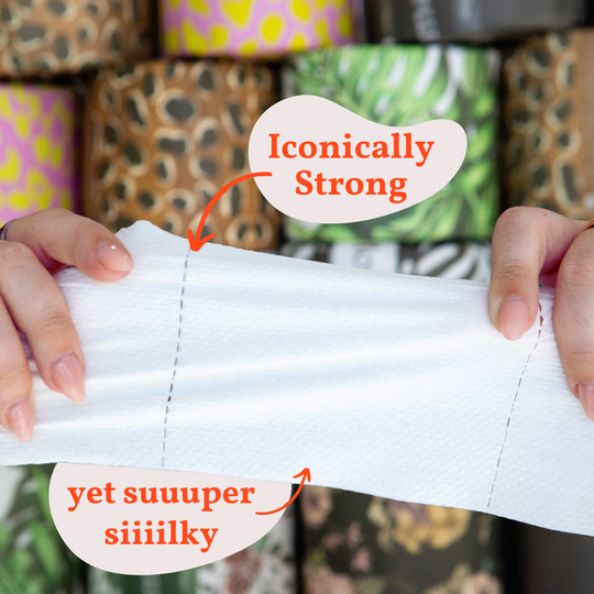 Bamboo vs. Recycled Toilet Paper: Which One Should You Choose?