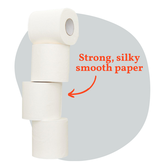 Toilet Paper vs. Bidet vs. Bamboo Toilet Paper: Which One Wins?