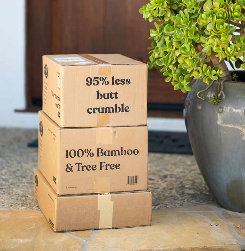 No.2 Toilet Paper Strong and Stylish 100 Bamboo Toilet Paper by